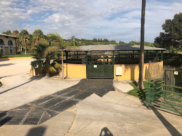 School of Equestrian Art Costa Del Sol