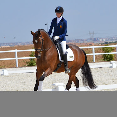 PASSAGE Equipo de Doma