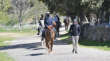 Hipica Finca El Paraiso El Salobral