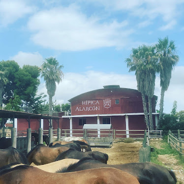 Yeguada Alarcon