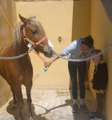 Club Hipico El Dorado