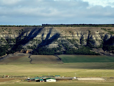 Yeguada Valdelamadre