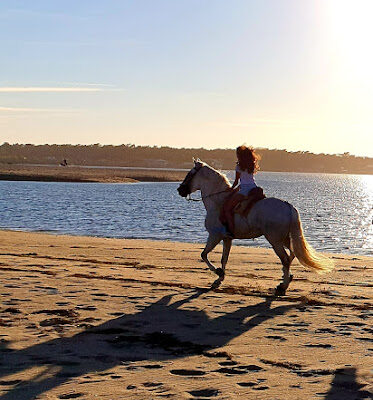 Rutas a Caballo – Picadero Taurino el Encuentro