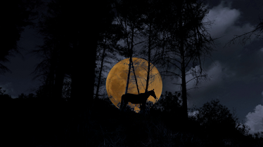 Centre Hipic Castell de Ben Viure