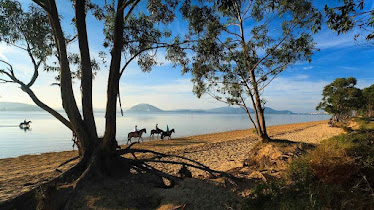 Centro Ecuestre El Sable Equitaci n
