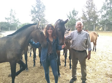 Yeguada Las Arenas S L