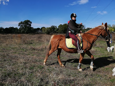 Club Hipico San Yago