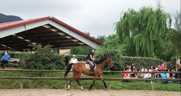 Centro Ecuestre Miracampos