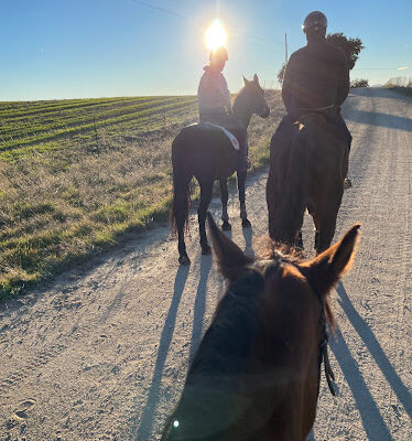Escuela Ponis Madrid