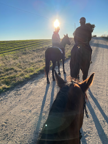 Escuela Ponis Madrid