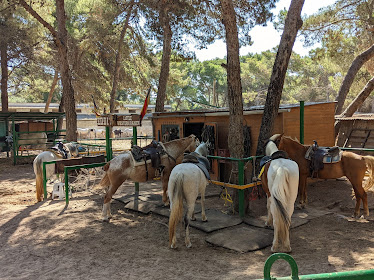 Eddys Reitstall – Hipic Cala Rajada