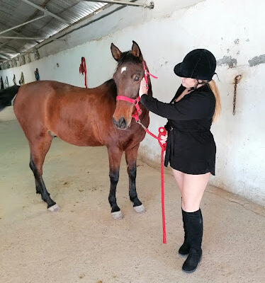 Equestrian Center Towers