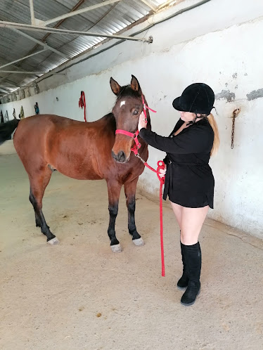Equestrian Center Towers
