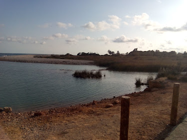 Finca Ecologica La Farinera