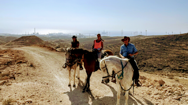 Wild Horse Adventures Tenerife