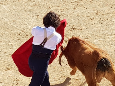 Dehesas Extreme as Centro Ecuestre