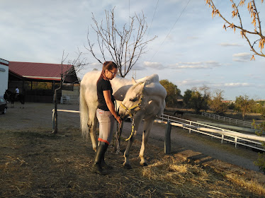 Centro Ecuestre Dueñas