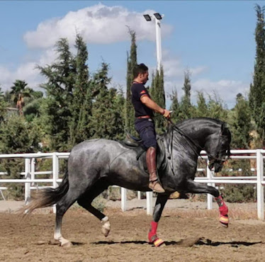 Club Hipico David Chaves