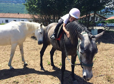 Caballos lucia villar