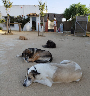 Finca Cerrillo – Reiturlaub ausreiten in Andalusien