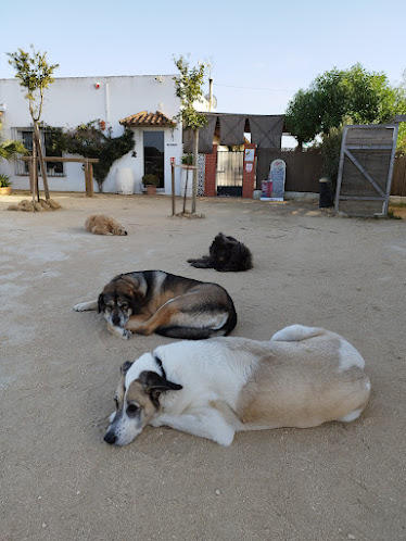 Finca Cerrillo – Reiturlaub ausreiten in Andalusien