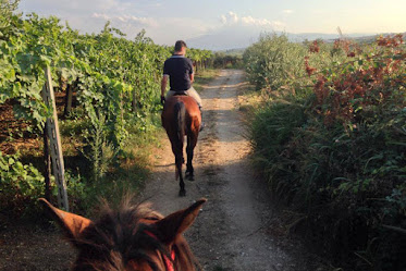 Marca Turismo Ecuestre España