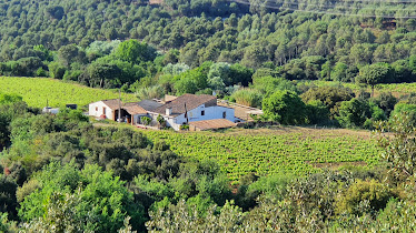 Hipica granja escuela Equinatura Hr