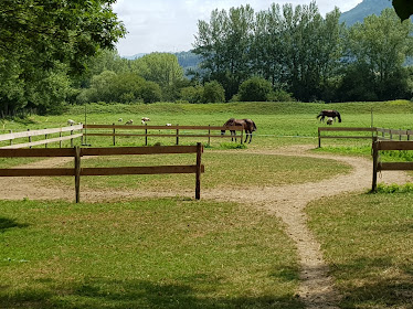 Rutas a Caballo ERROTAIN Zaldi Ibilaldiak