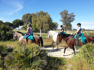 Doñana Dressage