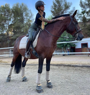 FINCA ECUESTRE CAL VICENTE