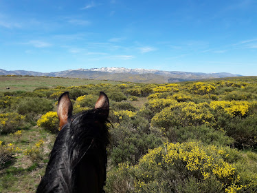 Gredos Rutas A Caballo S A