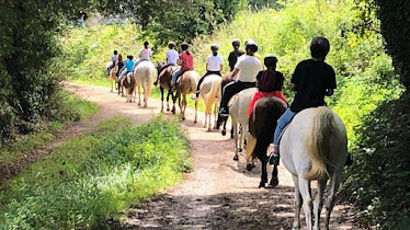 Horseback riding La Robleda