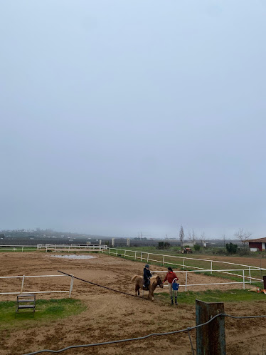 Centro Hipico San Marcos