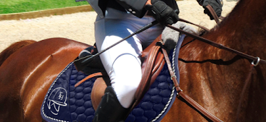 Tienda Hipica Online