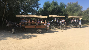 Alquiler de coches de caballo en el Rocio Marcelino