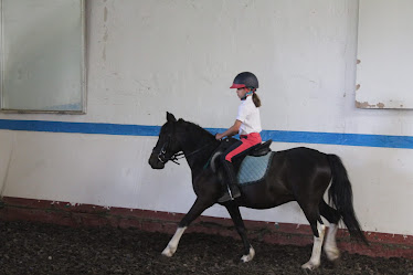 Caminando con caballos