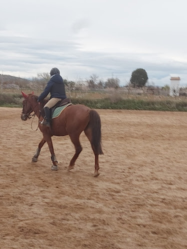 AV Escuela Hipica
