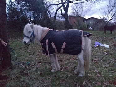 GUARNICIONERIA MENENDEZ