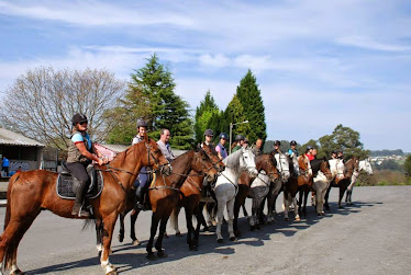 Centro Ecuestre Sierra Galiñeiro