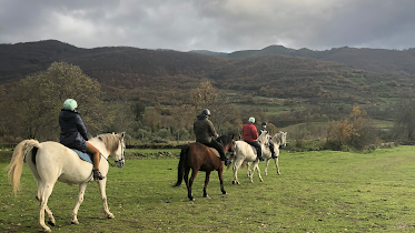 Actividades Ecuestres Valle del Ambroz