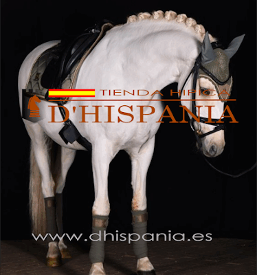 Tienda Hipica Dhispania
