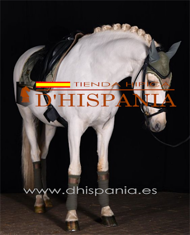 Tienda Hipica Dhispania