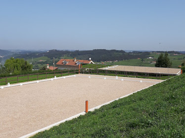 Escuela de Doma DPA – Dressage Principado de Asturias
