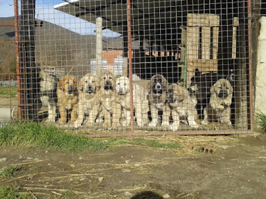 La Majada Los Robles