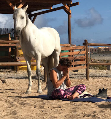 Finca Ecuestre Essential