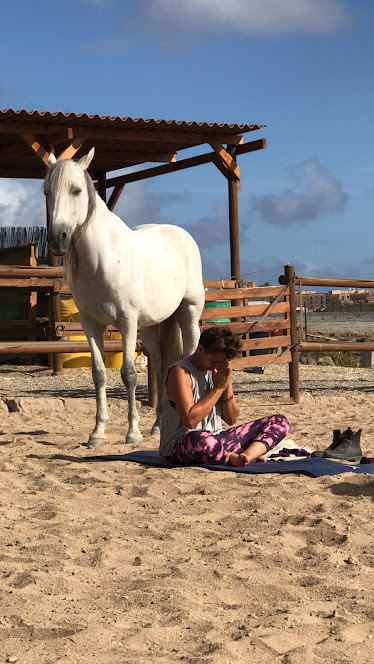 Finca Ecuestre Essential