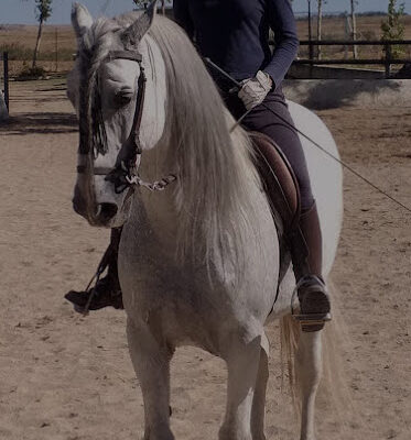 Hipica La Constancia