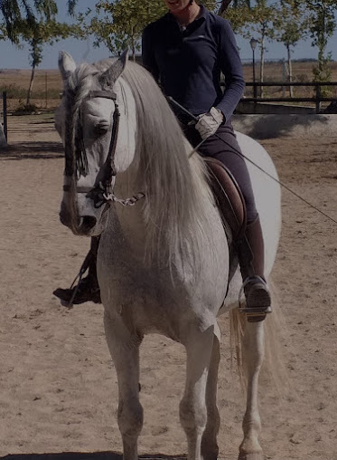 Hipica La Constancia