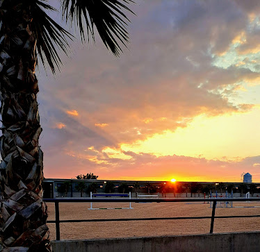 Centro Ecuestre Zaragoza Alto Rendimiento CEZAR
