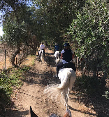 Centro Hipico the albardones